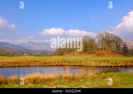 Vista dei Langdale Pikes attraverso il fiume Brathay nel Lake District National Park. Elterwater, Ambleside, Cumbria, Inghilterra, Regno Unito, Regno Unito. Foto Stock