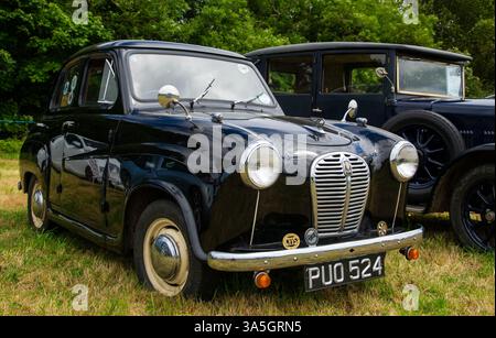 Austin A35 al Car Rally Foto Stock