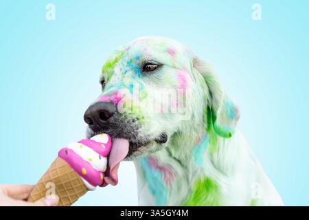 Il Golden Retriever Foto Stock