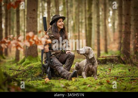 Weimaraner Foto Stock