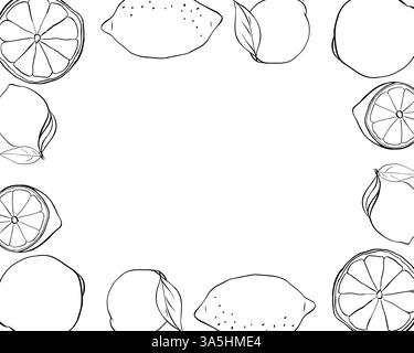 Limoni interi e riquadro rettangolare. Modello bianco e nero per agrumi. Illustrazione dell'inchiostro con linee grafiche vettoriali con spazio vuoto per il testo. Design Illustrazione Vettoriale