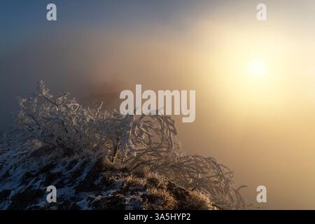 Svizzera, Passwang, Passwang se, se, Soletta, Mümliswil-Ramiswil, Schwarzbubenland, Sunrise, Vogelberg, febbraio Foto Stock