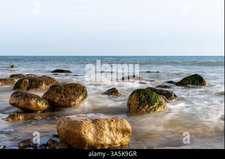 Massi di gesso illuminati dalla luce dorata del sole serale a Birling Gap, nell'East Sussex, con rocce ricoperte di alghe e dolci onde sotto un cielo limpido Foto Stock