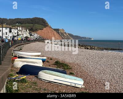 Barche a Pebble Beach a Sidmouth nel Devon Foto Stock