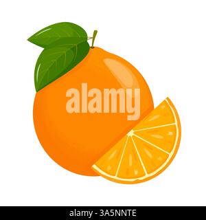 Frutta d'arancia. Arance segmentate su sfondo bianco, succosi frutti di stagione, agrumi. Illustrazione vettoriale. Illustrazione Vettoriale