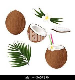 Illustrazione vettoriale realistica di cocktail di cocco e ingredienti su sfondo bianco Illustrazione Vettoriale