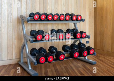 Nel moderno centro fitness sportivo potrai stare in piedi con diversi manubri, attrezzature per l'allenamento pesi, manubri neri su scaffale. Foto Stock