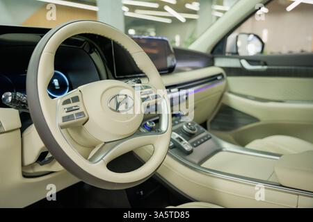 Almaty, Kazakistan - 14 marzo 2025: Volante nella Hyundai Palisade. Casa automobilistica coreana Foto Stock