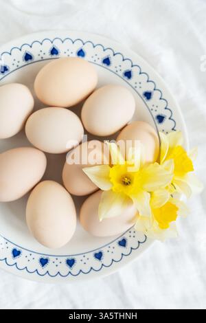 Uova pastello e simpatici narcisi creano un'incantevole scena pasquale su un piatto bianco e blu. L'immagine cattura la freschezza e la gioia della primavera. Foto Stock