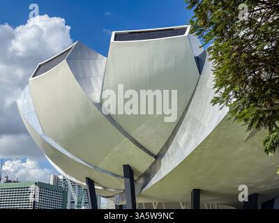 ArtScience Museum si trova a Singapore. Ha una forma unica di fiori di loto e presenta mostre che mescolano arte e scienza. Foto Stock