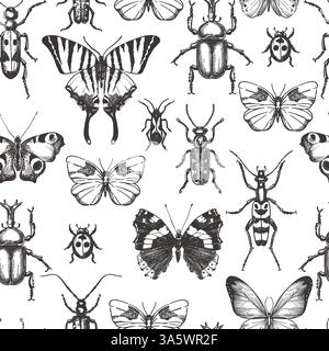 Pattern vettoriale senza cuciture con farfalle, insetti, coleotteri. Illustrazione dello schizzo disegnata a mano vettoriale su sfondo bianco. Sfondo di insetti e scarabocchi. Moda Illustrazione Vettoriale