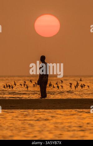 Tramonto a "Another Place", un pezzo di scultura moderna di Sir Antony Gormley situato a Crosby Beach a Merseyside, Inghilterra. Foto Stock