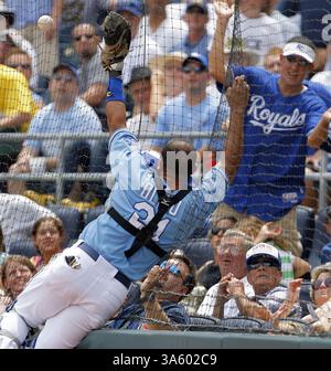 23 luglio 2008 - la palla si scatena mentre Miguel Olivo, ricevitore dei Kansas City Royals, va contro la rete cercando di mettere in campo un foul ball da Gary Sheffield dei Detroit Tigers nel terzo inning al Kauffman Stadium di Kansas City, Missouri, mercoledì 23 luglio 2008. (John Sleezer/Kansas City Star/MCT) (immagine di credito: © John Sleezer/MCT/ZUMAPRESS.com) Foto Stock