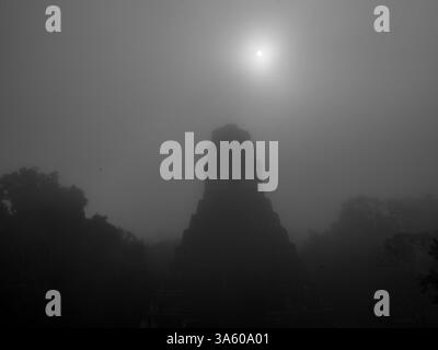 Altare El Gran Giaguaro a Tikal, Peten, Guatemala Foto Stock