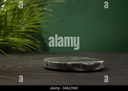 Composizione con podio per progettare i tuoi prodotti cosmetici con piedistallo in marmo nero e foglie tropicali su sfondo verde. Spazio per il design. Foto Stock