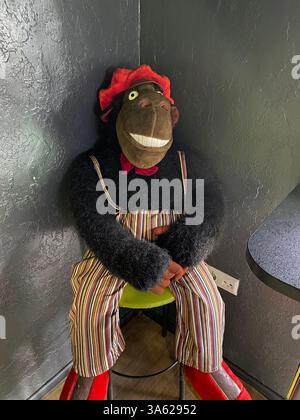 Un grande gorilla sorridente seduto in un angolo, creando creatività, in un caffè sulla strada nella regione di Cherkasy, Ucraina. Foto Stock