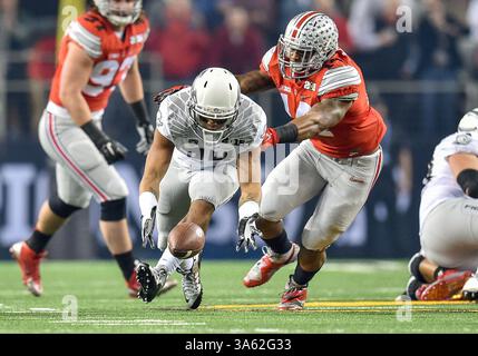 Il running back degli Oregon Ducks Thomas Tyner (24) fumble la palla mentre recupera la palla durante la partita del campionato nazionale di football universitario tra Oregon Ducks e Ohio State Buckeyes, 12 gennaio 2015, all'AT&T di Arlington, Texas. (Credit Image: © Manny Flores/Cal Sport Media/ZUMAPRESS.com) Foto Stock