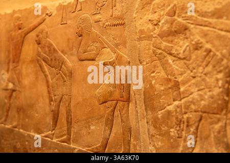 Cairo, Egitto; 20 gennaio 2024: Decifrare gli antichi geroglifici nelle Tombe di Saqqara, Menfi, Egitto, sul Nilo occidentale. Foto Stock