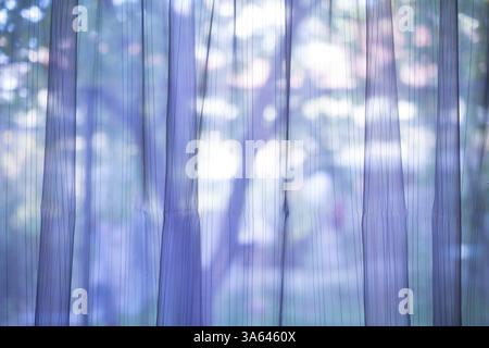 Viola la tendina trasparente su una finestra Foto Stock