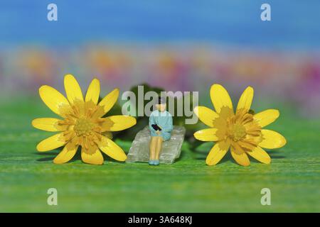 Donna in miniatura seduta su una pietra tra le celandine minori (Ficaria verna), di fronte a un colorato sfondo dipinto, Renania settentrionale-Vestfalia, Germa Foto Stock