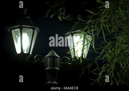 Immagine notturna della lampada in primo piano. Giardino decorativo di notte Foto Stock