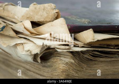 Vecchio usurato fogli di carta del libro Foto Stock