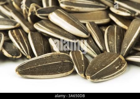 Semi di girasole crudi vicino fino in gusci isolato bianco Foto Stock