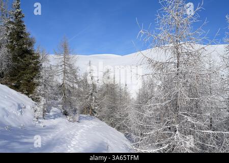 Sentiero innevato nel soleggiato paesaggio montano invernale con gelate e alberi scintillanti innevati. Lachtal, Stiria, Austria. Foto Stock