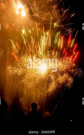 Un gruppo di americani si vede insieme in silhouette guardando uno spettacolo di fuochi d'artificio che illumina il caldo cielo notturno estivo il 4 luglio Foto Stock
