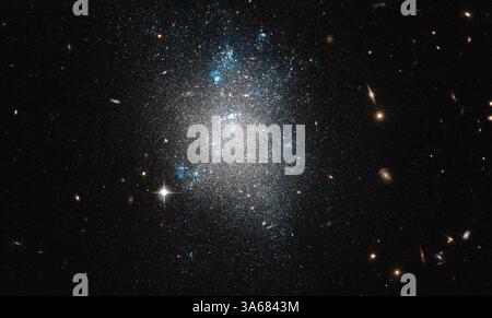 11 gennaio 2013 - la costellazione dell'Orsa maggiore (il grande Orso) ospita Messier 101, la Galassia Pinwheel. Una delle galassie a spirale più grandi e luminose del cielo notturno, Messier 101 è anche il soggetto di una delle immagini più famose di Hubble (heic0602). Come la via Lattea, Messier 101 non è solo, con galassie nane più piccole nelle vicinanze. NGC 5477, una di queste galassie nane nel gruppo Messier 101, è il soggetto di questa immagine del NASA/ESA Hubble Space Telescope. Senza una struttura ovvia, ma con segni visibili di nascita stellare in corso, NGC 5477 sembra molto simile a un'ar Foto Stock