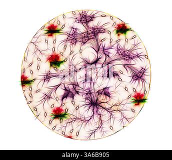 Un intricato motivo circolare caratterizzato da una rete di linee e forme vivaci, che fondono colori come il verde, il rosso e il viola, che ricordano un'opera d'arte astratta complessa o la visualizzazione di elementi interconnessi. Arte classica con un tocco moderno reinventata da Artotop, tessuti francesi trasformati, prima metà del diciannovesimo secolo Foto Stock