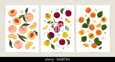 Raccolta di pesche, albicocche e prugne. Illustrazione vettoriale disegnata a mano Illustrazione Vettoriale