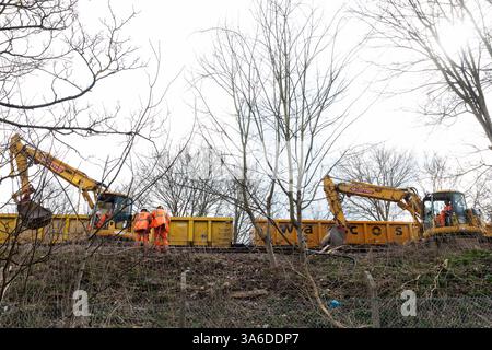 Windsor, Regno Unito. 22 marzo 2025. Gli ingegneri ferroviari effettuano lavori di ristrutturazione dei binari che comportano la rimozione di vecchie rotaie e traverse e l'installazione di oltre 700 metri di nuova pista sul vicino ponte ferroviario Black Potts, risalente a 174 anni fa. I servizi della South Western Railway (SWR) non saranno disponibili tra Windsor e Staines durante i lavori che dovrebbero durare per una settimana. Crediti: Mark Kerrison/Alamy Live News Foto Stock