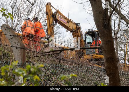Windsor, Regno Unito. 22 marzo 2025. Gli ingegneri ferroviari effettuano lavori di ristrutturazione dei binari che comportano la rimozione di vecchie rotaie e traverse e l'installazione di oltre 700 metri di nuova pista sul vicino ponte ferroviario Black Potts, risalente a 174 anni fa. I servizi della South Western Railway (SWR) non saranno disponibili tra Windsor e Staines durante i lavori che dovrebbero durare per una settimana. Crediti: Mark Kerrison/Alamy Live News Foto Stock