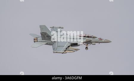 EA-18G Growlers al Red Flag Foto Stock