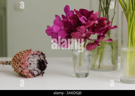 Elegante natura morta floreale con vivaci orchidee viola in un vaso di vetro e un fiore protea essiccato su un tavolo bianco, creando un'estetica serena, fiori Foto Stock
