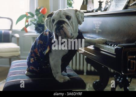 25 dicembre 1997; Los Angeles, CA, Stati Uniti; scena della commedia della Walt Disney Pictures, "Mr. Magoo". Foto Stock