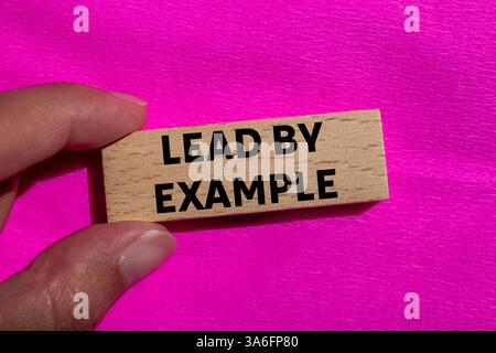 Guida con un messaggio di esempio scritto su un blocco di legno su sfondo rosa. Guida concettuale con simbolo di esempio. Copia spazio. Foto Stock