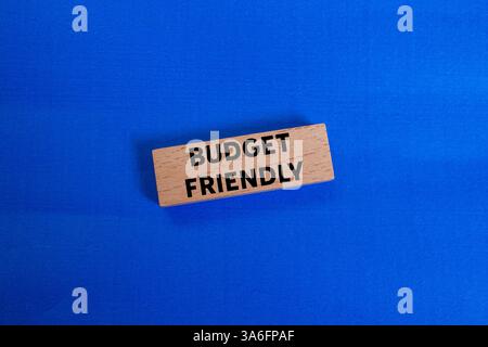 Messaggio economico scritto su un blocco di legno su sfondo blu. Simbolo di budget concettuale. Copia spazio. Foto Stock