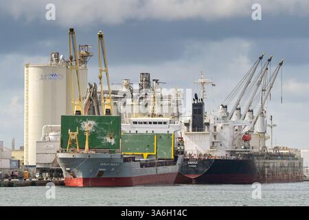 Fort Lauderdale, Florida, USA - 2 dicembre 2023: Navi da carico Oslo Bulk 1 e Anhui attraccate nel porto di Fort Lauderdale. Foto Stock