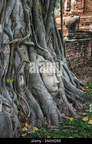 Tempio Wat Mahathat ad Ayutthaya Foto Stock