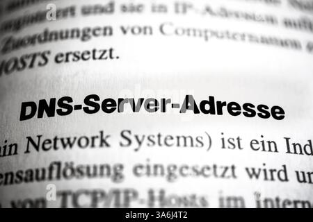 Il DNS (Domain Name System) è uno dei servizi più importanti in molte reti basate su IP Foto Stock