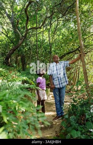 Esplorando il percorso naturalistico, nonno e nipote trascorrono del tempo insieme nella foresta, copiando spazio Foto Stock
