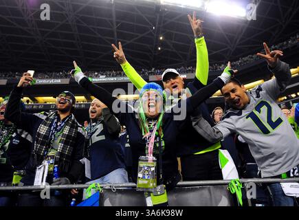 10 gennaio 2015 - Seattle, WA, USA - i fan dei Seattle Seahawks festeggiano in mezzo a una vittoria del 31-17 contro i Carolina Panthers nel Divisional playoff della NFC al CenturyLink Field di Seattle sabato 10 gennaio 2015. (Immagine di credito: © Jeff Siner/TNS/ZUMA Wire) Foto Stock