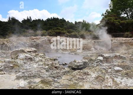 Hell's Gate è un sobborgo nella zona geotermica più attiva di Rotorua sulla State Highway 30, tra il lago Rotorua e il lago Rotoiti nella Bay of Plenty Foto Stock