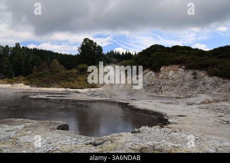 Hell's Gate è un sobborgo nella zona geotermica più attiva di Rotorua sulla State Highway 30, tra il lago Rotorua e il lago Rotoiti nella Bay of Plenty Foto Stock