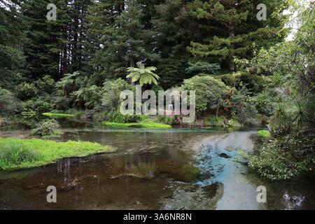 Hamurana è un insediamento e un'area di sorgenti naturali sul lato settentrionale del lago Rotorua, nella regione Bay of Plenty dell'Isola del Nord della nuova Zelanda Foto Stock