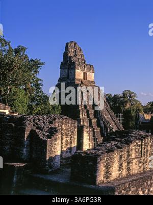 Parco nazionale di Tikal e zona archeologica, Tempio del grande Giaguaro. Foto Stock