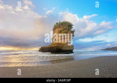 Formazione rocciosa a forma di stivale, Punakaiki, Parco Nazionale di Paparoa, Isola del Sud, nuova Zelanda Foto Stock