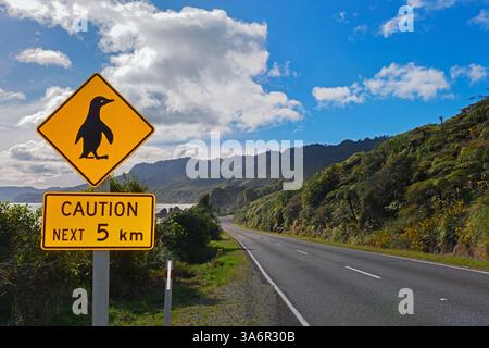 Penguin attraversa il cartello stradale, South Island, Nuova Zelanda Foto Stock